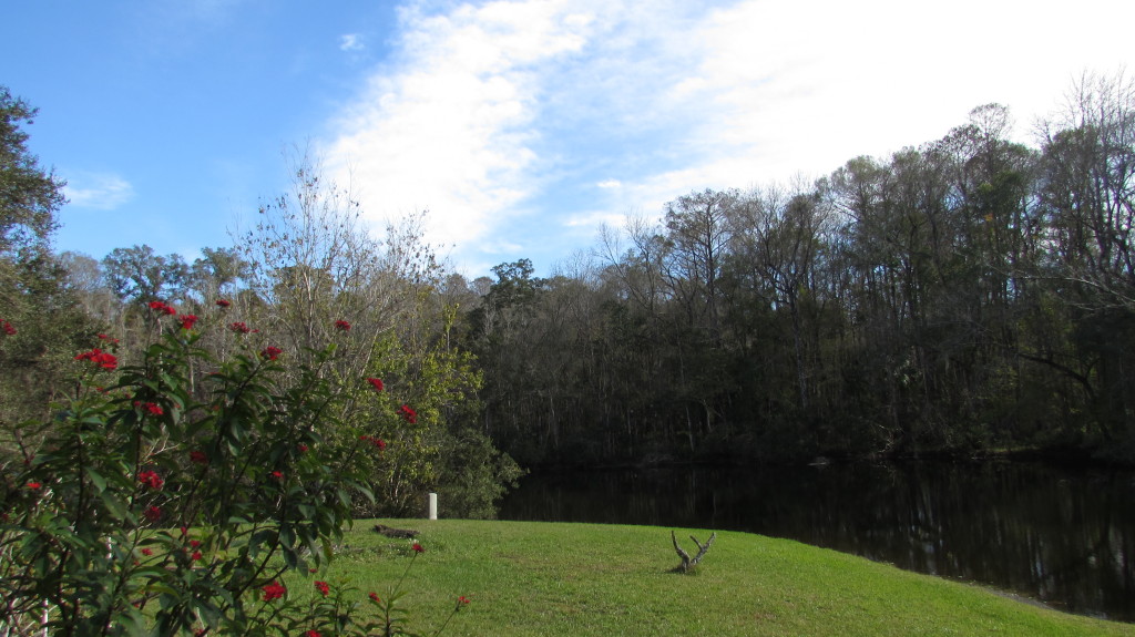 The backyard in winter
