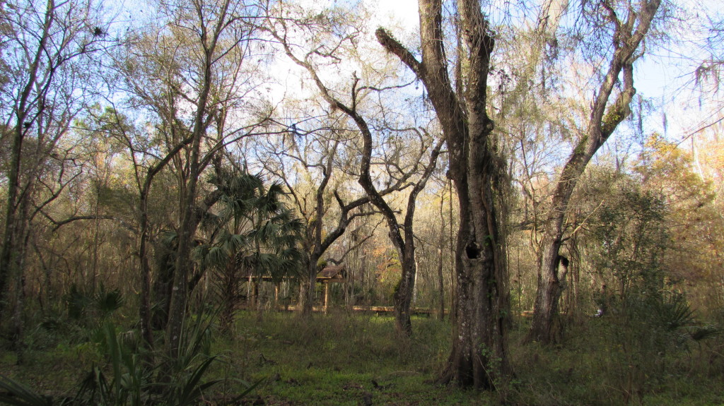 Park at Lettuce Lake with the visitor center in the background