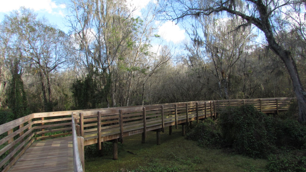 Boardwalk and blue sky at Lettuce Lake Park