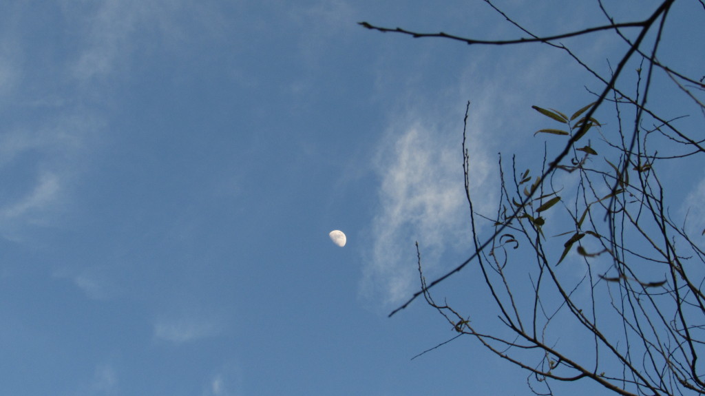 A moon in the afternoon sky