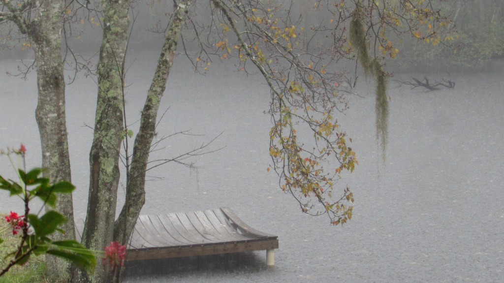 The dock in rain