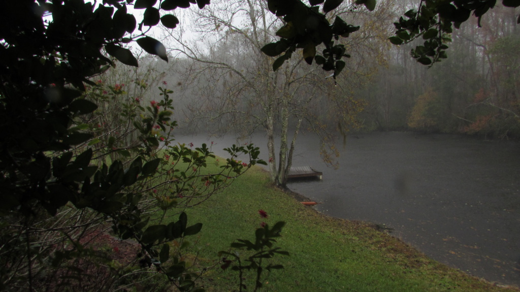 Rain storm