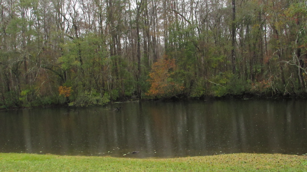 A brief moment of only drizzles leaves a mirror like finish on the water.