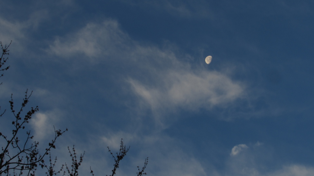 Moon in a peaceful sky.