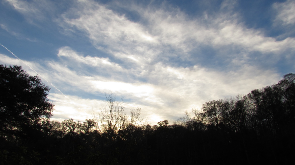 The glowing sky as the sun pushes up, promises a day of cheerfulness.