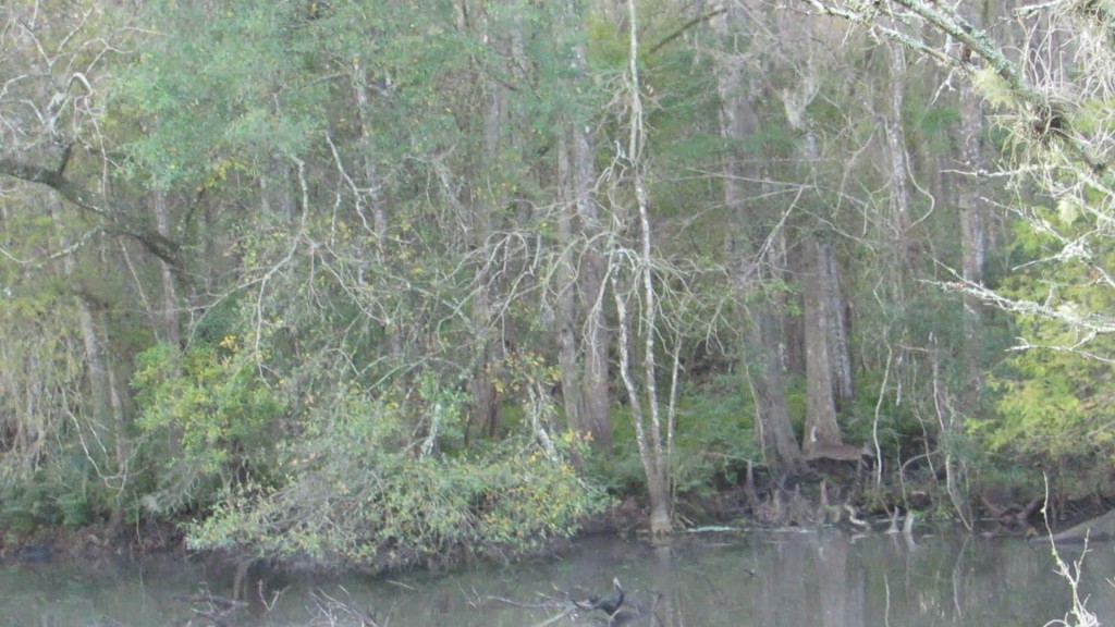 MVI_1398 066