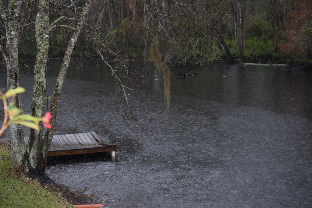 View of the dock in rain. Just to keep track of the differences in output from each camera.