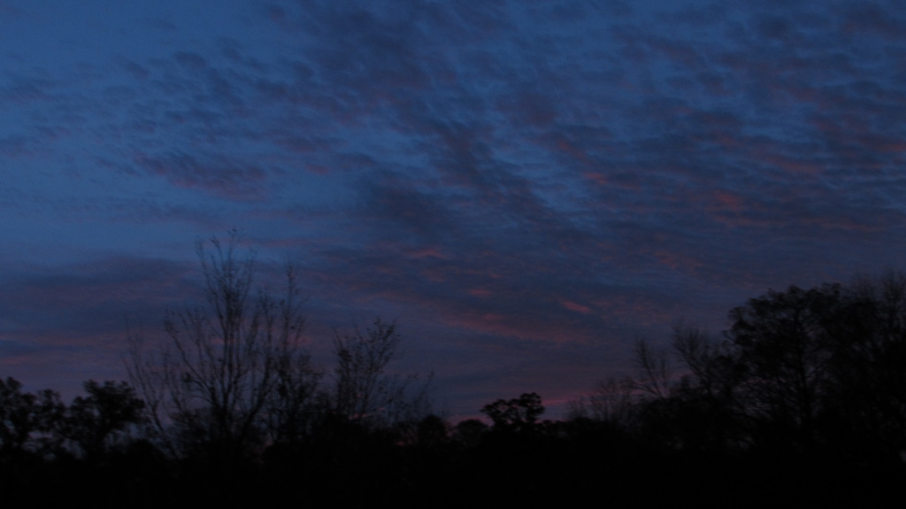 The morning breaks on the last day of the challenge (31.1.16).